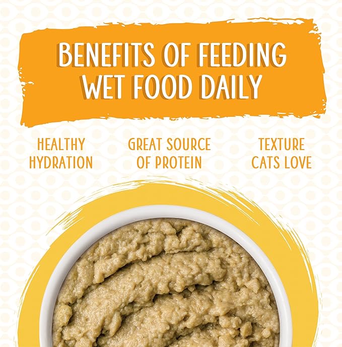 Weruva Wet Cat Food, The Slice is Right with Wild Caught Salmon Pate, 2.8oz Slide N Serve Pouch, Pack of 12