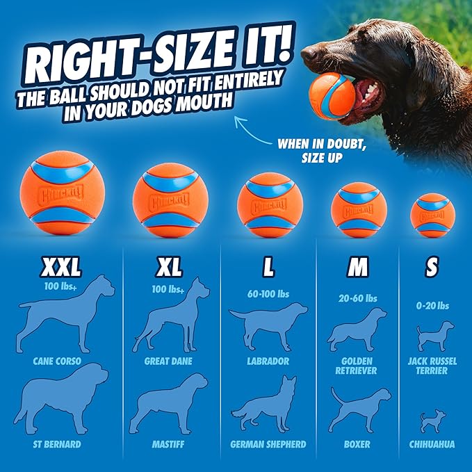Chuckit! Sport 26L Dog Ball Launcher - Includes a 3-inch Diameter Large Ball for Dogs 60-100 Pounds - Manual Thrower for Dog Balls With a Slim Ergonomic Handle - 26-inch Length
