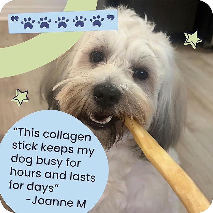 Pawstruck All Natural 11-12" Roasted Collagen Sticks for Dogs – Low Odor & Long-Lasting Bully Stick & Rawhide Alternative, Single Ingredient, Vet Approved – 20 Pack