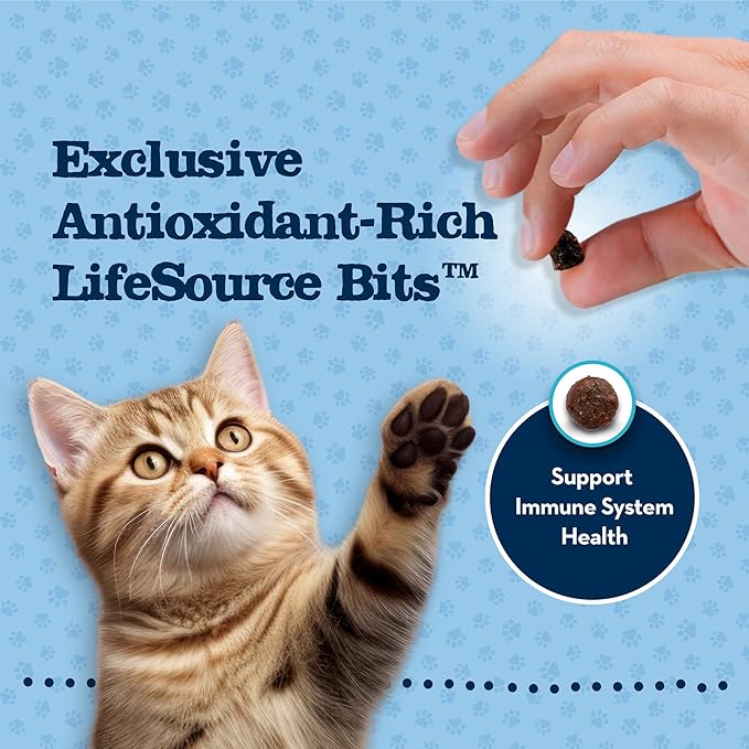 Blue Buffalo Baby Blue Natural Grain-Free Dry Food for Kittens, Healthy Growth Formula with DHA, High-Protein Savory Chicken Recipe, 4.5-lb Bag