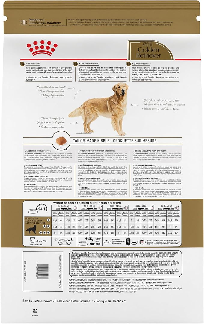 Royal Canin Breed Health Golden Retriever Adult Dry Dog Food, 30 lb Bag Breed Health Golden Retriever Loaf in Sauce Canned Dog Food, 13.5 oz can (12-Count)