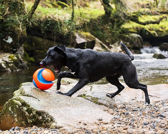 Chuckit! Kick Fetch Ball Large - 2 Pack