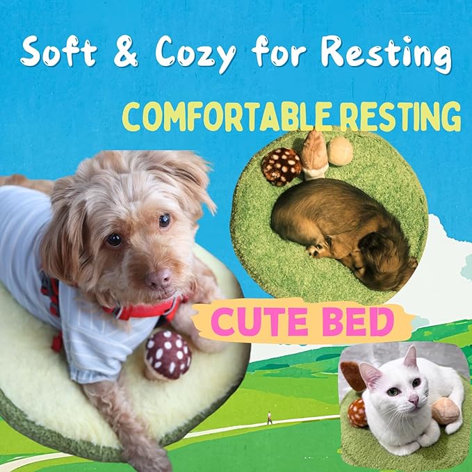 CECE PAW Mushroom Mat Pet Toy & Bed | Dog Snuffle Mat with 3 Crinkle Mushrooms for Treat Hiding | Soft Cushion for Cats, Small Dogs, & Owners | Washable Interactive Play & Cozy Rest