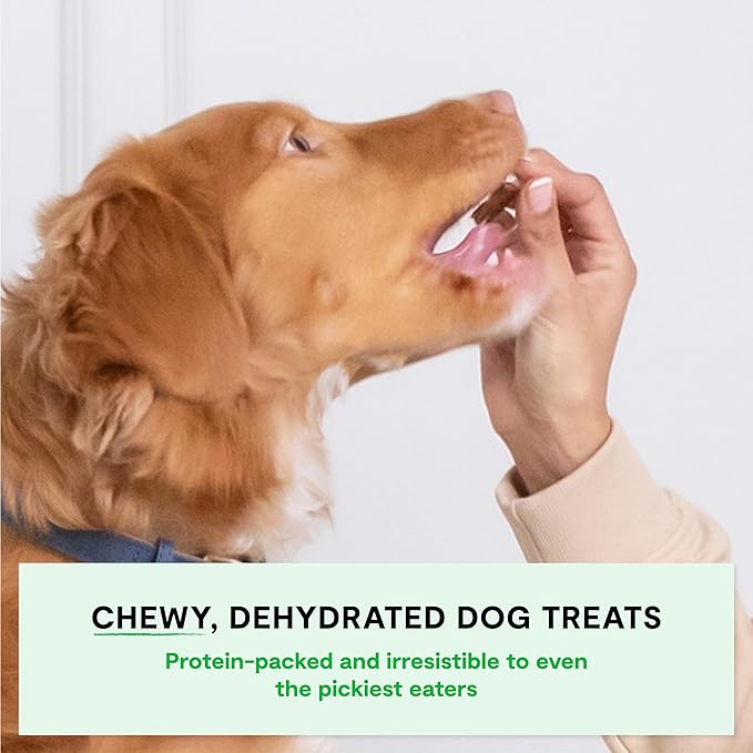 Open Farm, Dehydrated Dog Treats, High Protein & Low Carbohydrate Dog Snacks, Chewy Texture, Made with Ethically & Sustainably Sourced Ingredients, Chicken Recipe, 4.5oz Pouch