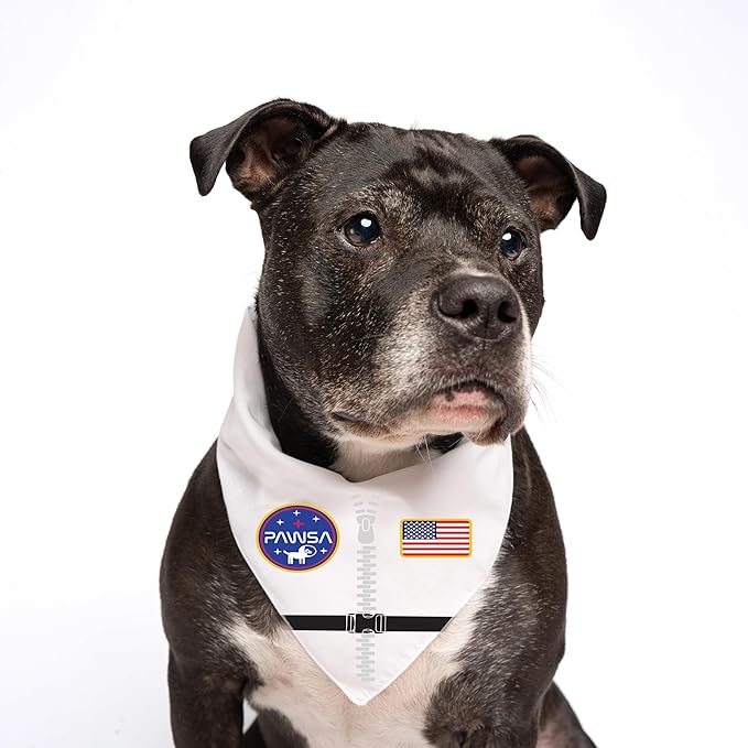 Pawsa Astronaut Costume Dog Bandana | 100% Cotton Adjustable Triangle | Made in USA | Halloween | Space Explorer | Out of This World | Galaxy |White, One Size (1376)