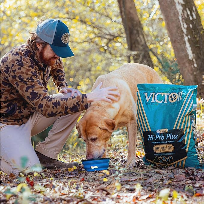 VICTOR Super Premium Dog Food – Hi-Pro Plus Dry Kibble – High Protein Dog Food with 30% Protein – Beef, Chicken, Pork, Fish Meals, Gluten Free - for High Energy and Active Dogs & Puppies, 5lbs