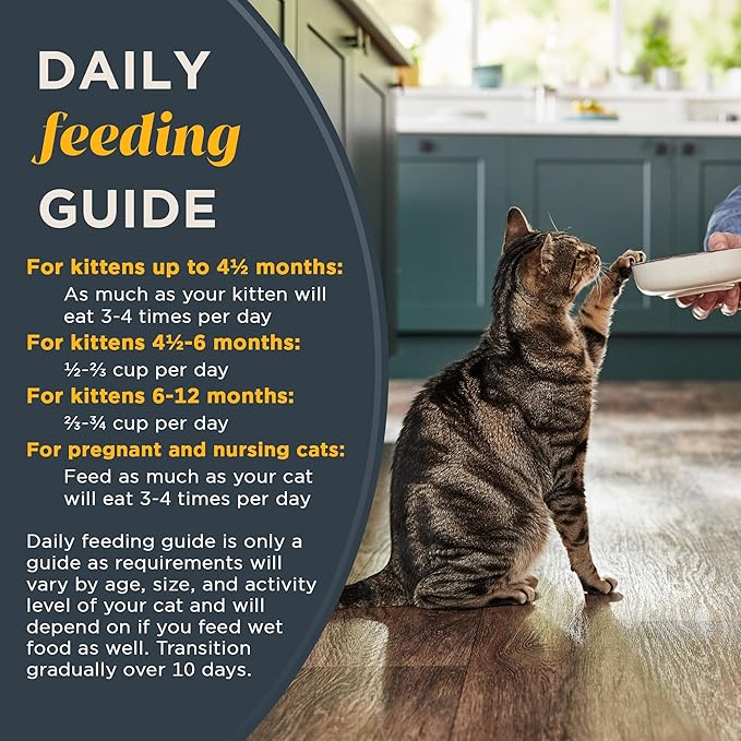 Reveal Natural Dry Kitten Food, High Protein, Grain Free with Added Vitamins & Minerals and DHA, Complete & Balanced Nutrition for Kittens, Chicken Recipe (2.5 Pound Bag)