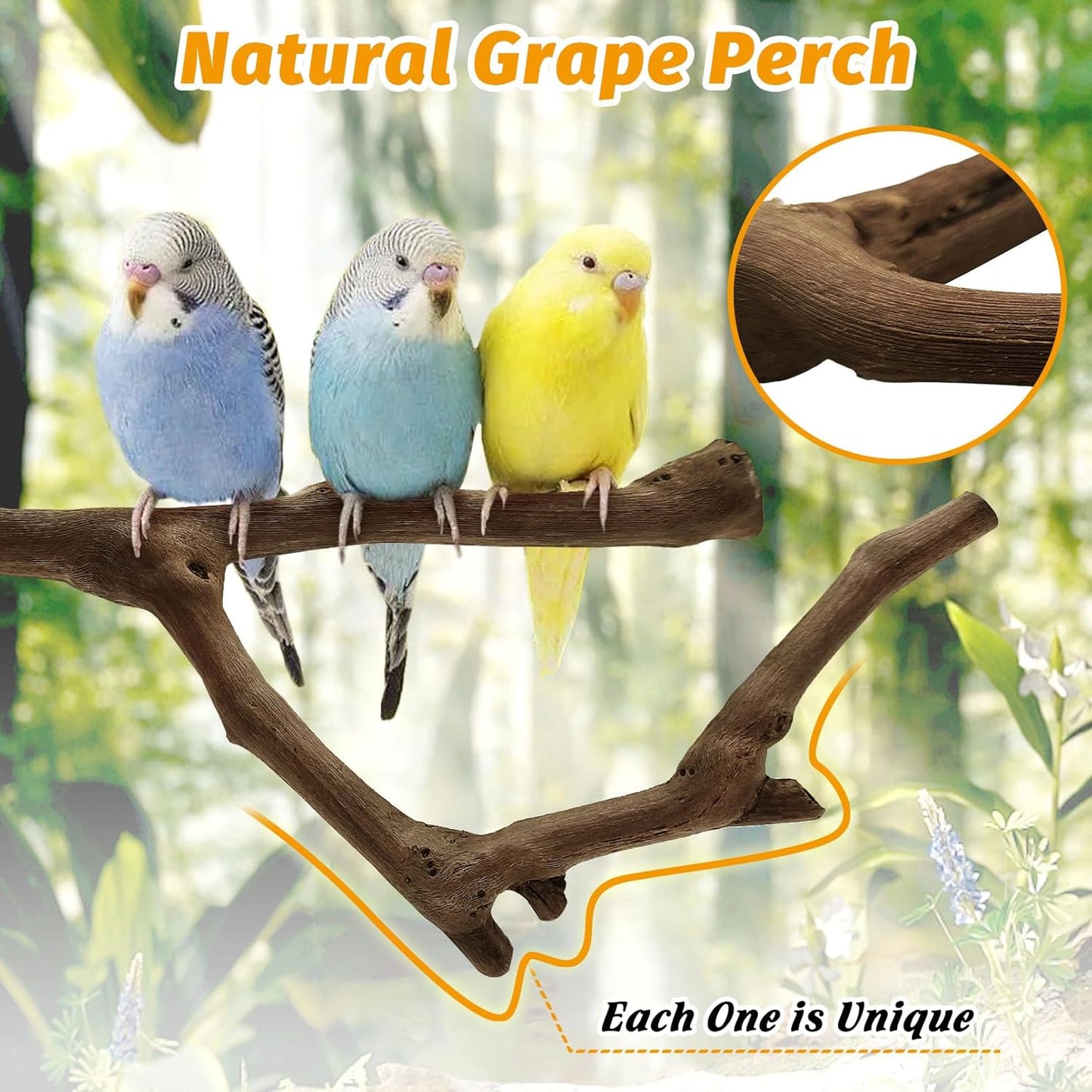 kathson 3pcs Natural Parrot Perch for Cage Wooden Bird Perches Grape Bird Stick Parakeet Climbing Standing Branches Toy Chewable Cage Accessories for Small Budgies Cockatiels Lovebirds Budgies