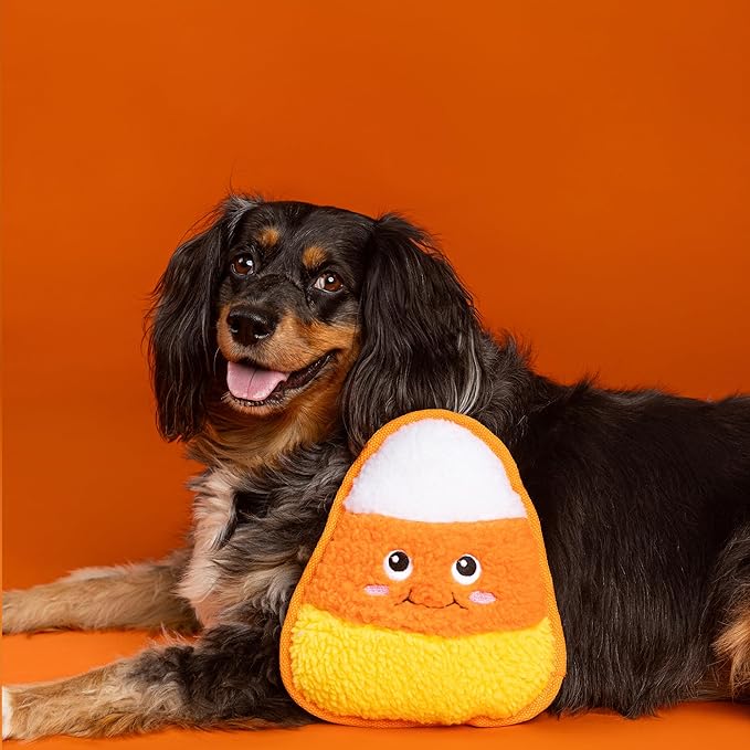 Fringe Studio Pet Toy, Candy You DIG IT? Durable Plush Dog Toy, PetShop Collection (729229)