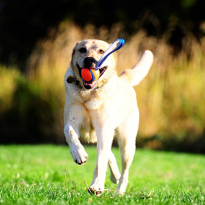Chuckit! Ultra Tug Dog Toy (Medium) Flying Squirrel Fetch Dog Toy (Medium)