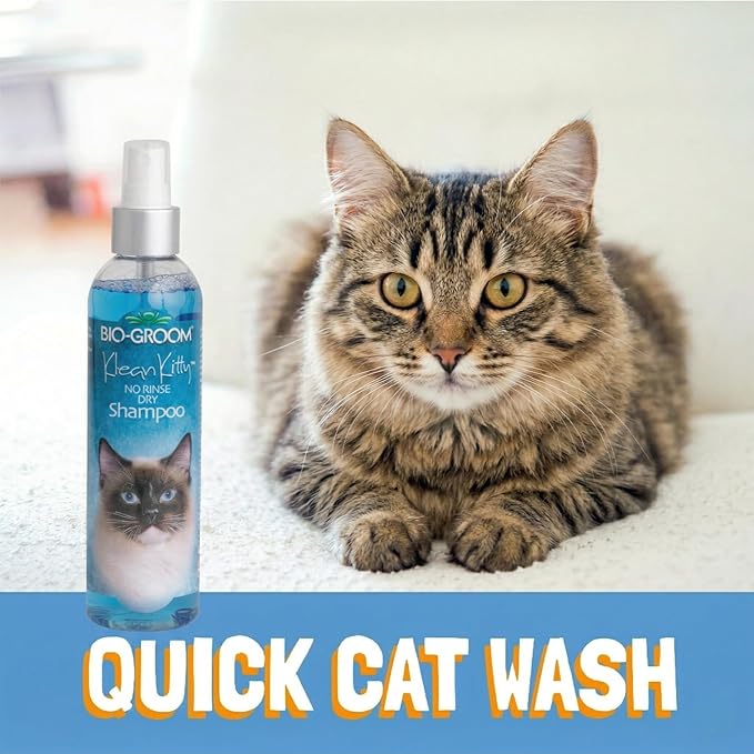 Bio-Groom Klean Kitty Waterless Cat Shampoo - No-Rinse, Cat Bathing Supplies, Kitten Wash, Cat & Dog Grooming Supplies, Cruelty-Free, Made in USA, Dry Shampoo Spray, Cat Products - 8 fl oz 1-Pack