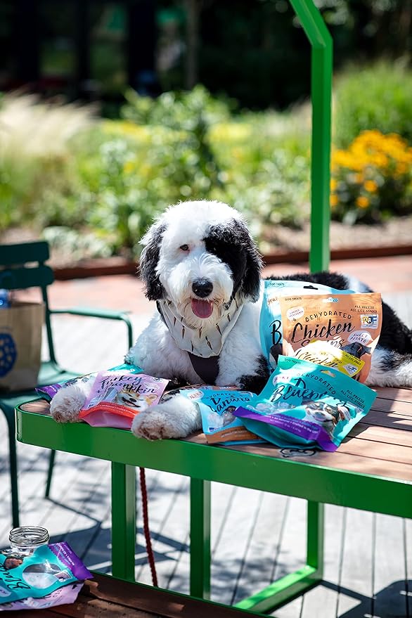 PET JERKY FACTORY Premium Beef and Banana 12 oz. Dog Jerky Treats | 100% Human Grade | USA Made-| High Protein-| Grain Free-| Limited Ingredients-| No Filler-| BHA-BHT Free-| Soft-Tender,(Pack of 2)