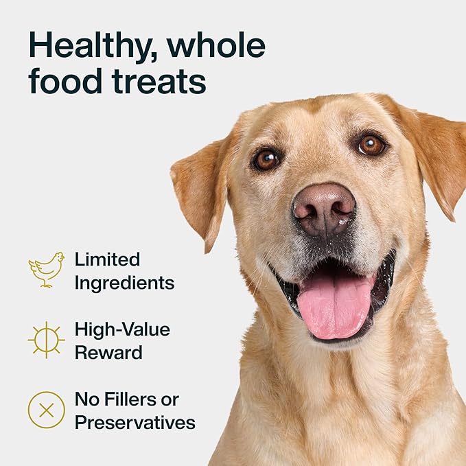 JustFoodForDogs Limited Ingredient Healthy Dog Treats and Dog Snacks, Jerky Treats, Human Grade, Preservative Free, Rawhide Free Chews, Low Calorie Treat - Chicken Apple Bark, 5 oz