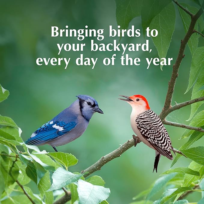 C&S Cranberry Delight No Melt Suet Dough, Suet Cakes for Wild Birds Including Robins, Blue Jays, Bluebirds, Tanagers, Thrushes and More, 8 Pack