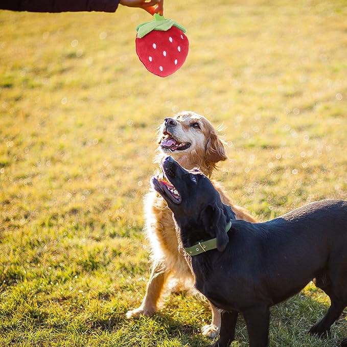 Beavorty Strawberry Squeaky Dog Toy 3.54 Inch Fruit Shape Pet Chew Toy for Puppies Cats 2 Pack Rubber Plaything to Reduce Destructive Chewing