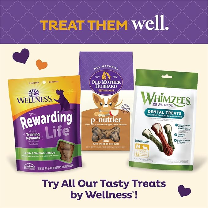 Old Mother Hubbard Wellness Training Bitz Assorted Mix Dog Biscuits,Natural,Training Treats,Three Flavors,Small Size,(8 Ounce Bag),(Pack of 2)