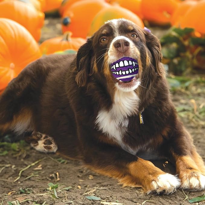 KONG Halloween Grinz Sport Balls for Dogs – Teethy Smiley Face Balls with Non-Abrasive Felt for Safe Fetch & Chase – Durable, Squeak-Free Halloween Toy Set (3 Pack)
