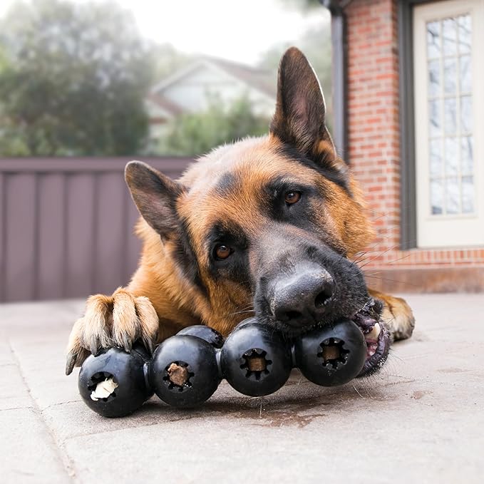 Kong Extreme Goodie Ribbon - Stuffable Dog Toy for Play - Chew Toy Satisfies Natural Chewing Instincts - for Medium Dogs