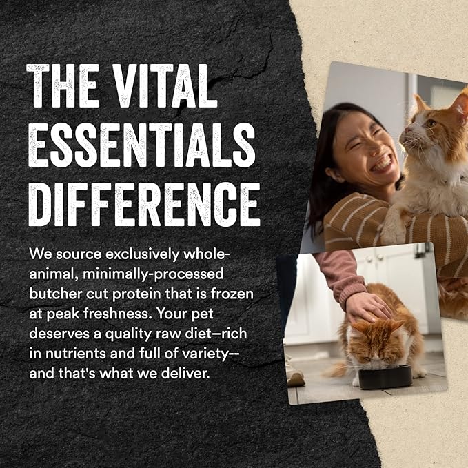 Vital Essentials Freeze Dried Raw Single Ingredient Cat Treats, Minnows, 1 oz (Pack of 6)