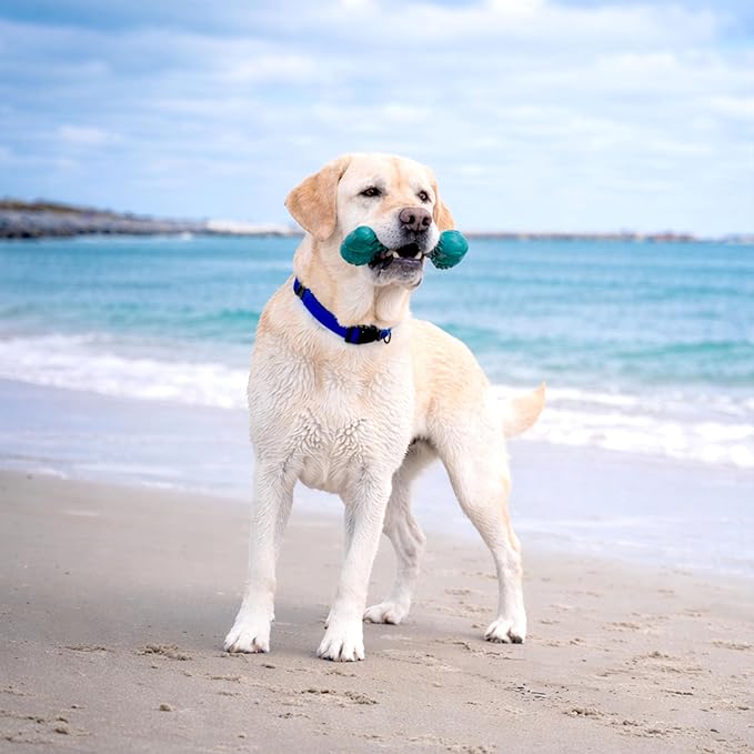 Nylabone Love Our Oceans Frenzy Bone Power Chew Toy for Dogs, Recycled & Sustainable Dog Chew Bones, Made in USA, Bacon & Cheese Flavor, Extra-Large Dog Toys - 50+ lbs, 1 Count