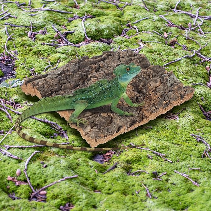Yardwe Tree Bark Fish Tank Decoration 4 Pcs Aquarium Background for Reptiles and Aquatic Pets Natural Cork Bark Easy to Install 5.9X5.9X0.78 Inch