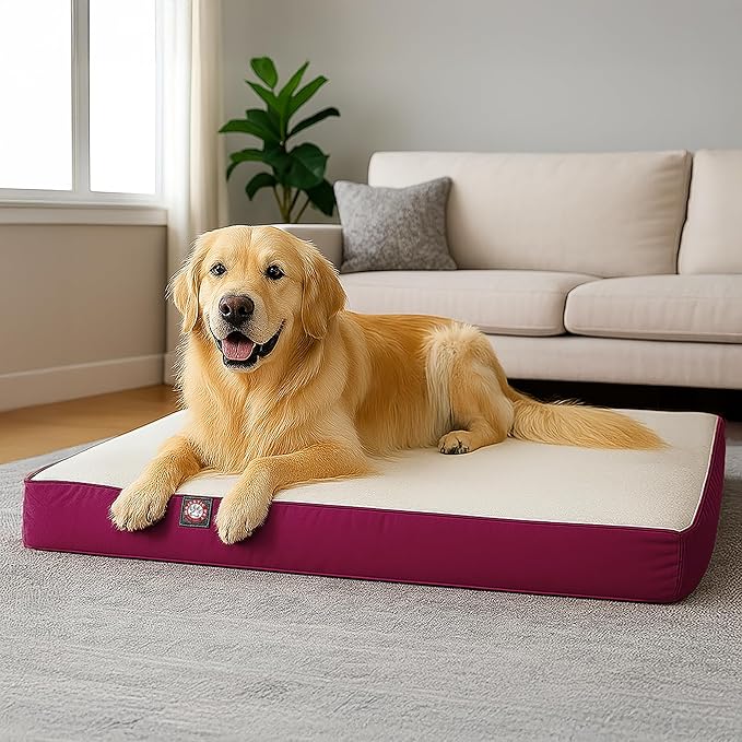 34x48 Burgundy Orthopedic Double Pet Bed By Majestic Pet Products-Large/Extra Large