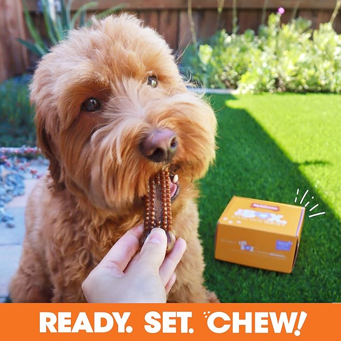 Nylabone Dog Gift Box, Includes 3 Strong Chew Toys and 1 Natural Treat, Gifts for Dogs, Small - Up to 25 lbs, 4 Pack