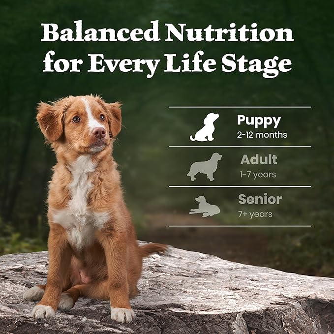 Blue Buffalo Wilderness 37 g Protein, Meat Rich Natural Puppy Dry Dog Food, Lamb, Chicken-Free Formula, 24lb Bag