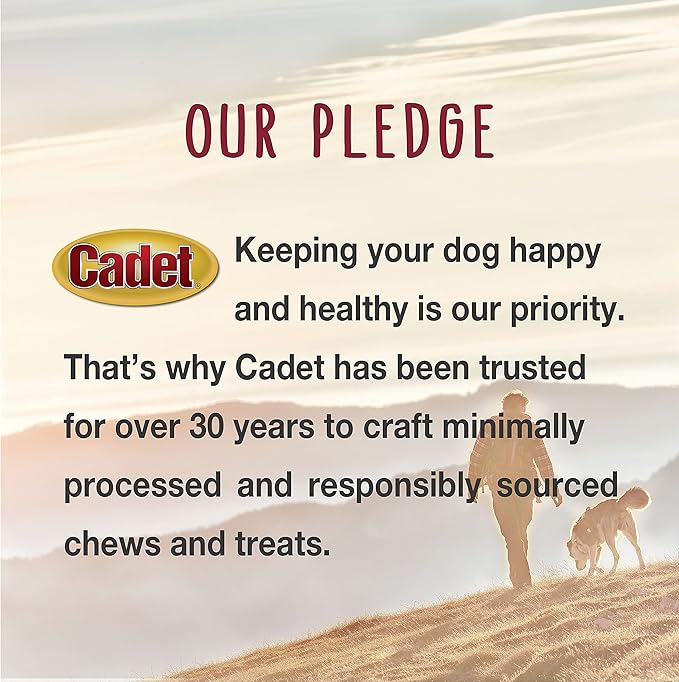 Cadet Gourmet Shish Kabob Dog Chews for Large Dogs, Rawhide Treats with Chicken and Sweet Potato, Healthy & Natural Pork Hide, 10-Inch Sticks, 4 Count