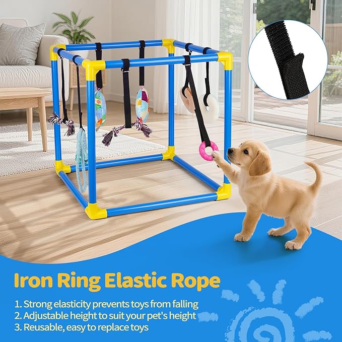 Liitrton Puppy Play Gym - Small Dogs Play Gym with 8 Hanging Toys, Indoor Puppy Jungle Gym with Interactive Dog Enrichment Toys, 19.5"x19.5"x19.5" PVC Frame (Blue)