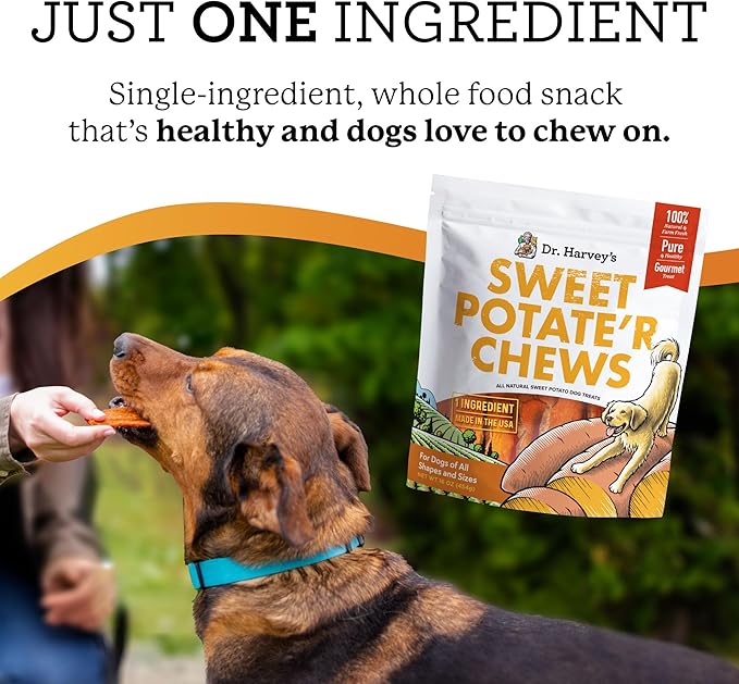 Dr. Harvey's Sweet Potato Chews for Dogs, Dog Treats for Small, Medium, Large Dogs, Natural Dog Snacks for Training, Healthy Teeth, Preventing Bad Breath, and Aggressive Chewers, USA Grown (1 Pound)