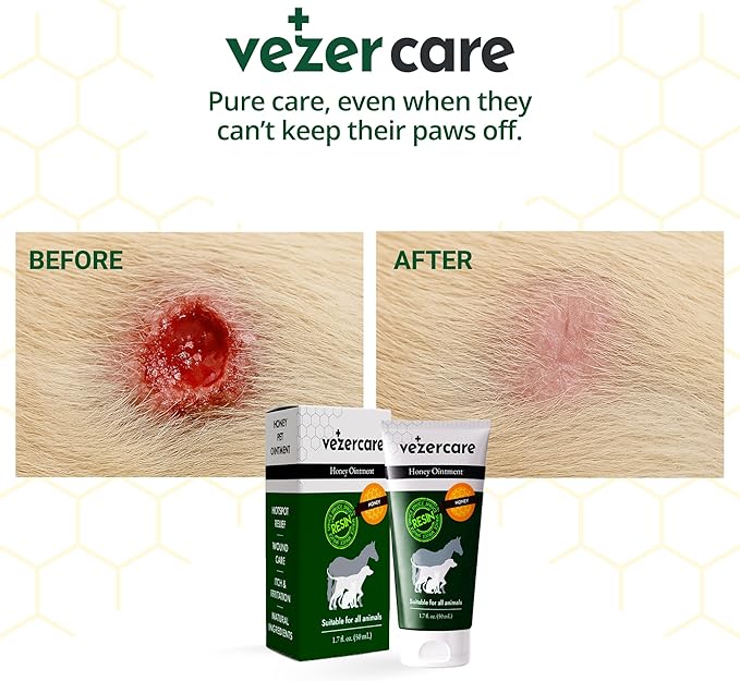Honey Balm Ointment with Spruce Resin for Dogs, Cats & Horses, Alternative to Medihoney Wound Gel, Hot Spot Treatment for Dog and Cat Wound Care, 1.7oz, Made in Finland, Antifungal & Steroid Free