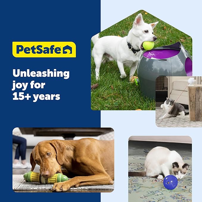 PetSafe Busy Buddy Toys Dog Treat Refills (60 Refills) Dog Treats Medium,Dogs Rawhide and Peanut Butter Flavors,Keeps Your Furry Friend Engaged,Resealable Bag for Freshness,(Pack of 2)