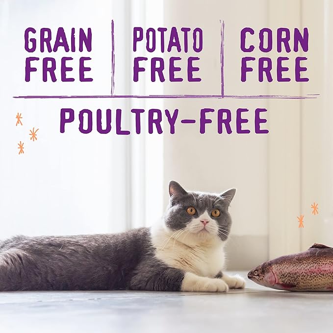 Stella & Chewy's Raw Blend Premium Kibble Cat Food – Grain Free, Protein Rich Meals – Wild-Caught Fish Recipe – 2.5 lb. Bag