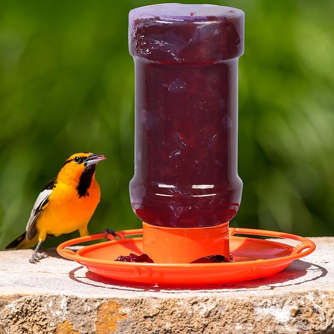 Perky-Pet Wild Oriole Jelly Bird Feeder - 32oz Capacity, Built-in Stirrer with Large Circular Feeding Tray, Wraparound Perch, Outdoor Garden Décor for Backyard Birding & Wildlife, 253
