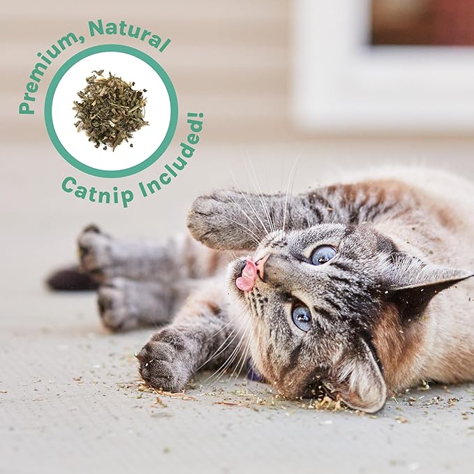 Kitty City Corrugate Cat Scratcher Lounger with Catnip - Cardboard Cat Scratcher Bed, Horizontal Kitty Couch Scratch Pad, Durable Play for Indoor Cats & Kittens - Gray, 34" x 10.5"