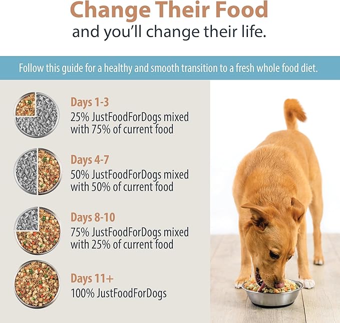 JustFoodForDogs Nutrient Blend, Supplements for Homemade Dog Food, Turkey & Whole Wheat Macaroni, DIY Fresh Pet Meals and Toppers, Human Grade, Dog Vitamins & Multivitamin Additive, 4.55oz