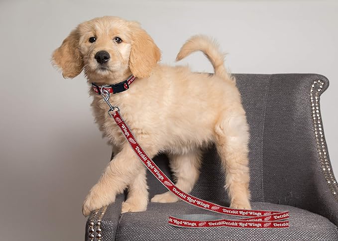Pets First NHL Detroit RED Wings Leash for Dogs & Cats, Walk Cute & Stylish! The Ultimate Hockey Fan Leash!, Large (6 ft Long x 1 in Width) (DRW-3031-LG)