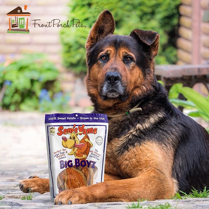 Sams Yams Sweet Potato Dog Treats, Healthy Dog Treats for Large Dogs - Sweet Potato Dog Treats Made in USA, High Fiber, Vegan Dental Chews - Big Boyz, Sweet Potato Dog Chewz, 15oz (Pack of 6)