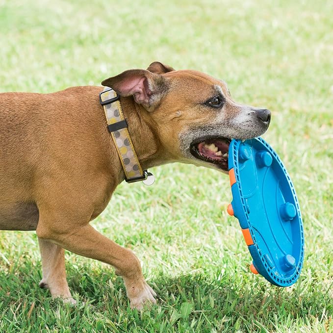 Chuckit! Whistle Flight Outdoor Dog Fetch Toy, Orange/Blue, 10.6" x 1.2" x 11.1", For Medium to Large Dogs