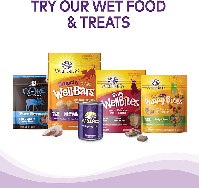 Wellness Complete Health Age Advantage Senior Dry Dog Food, Wholesome Grain Kibble, Natural, Chicken and Barley Recipe, 5 lb Bag