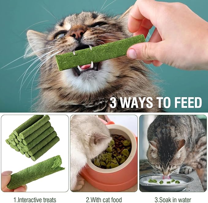 120g/4.23oz Cat Grass Teething Stick Hairballs,Chew Sticks for Cats,Catnip Toys Sticks Indoor Kitten Chew Stick (Green)