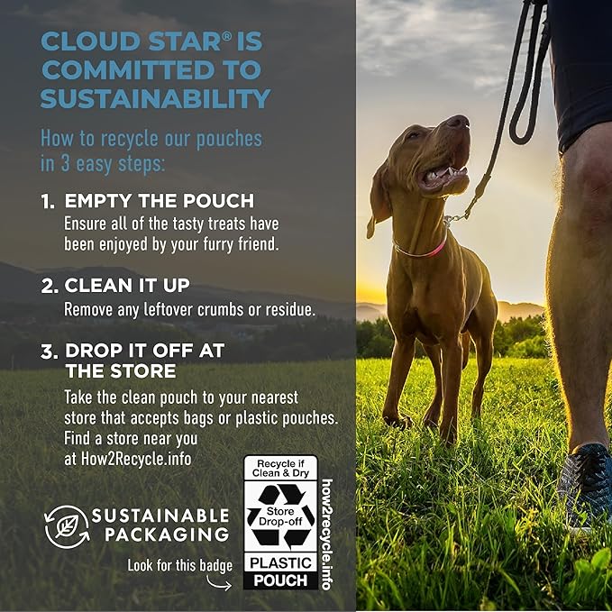Cloud Star Tricky Trainers Chewy Dog Treats, Salmon, 14 oz. Pouch