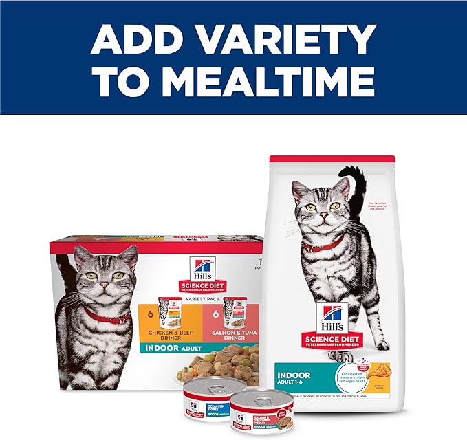 Hill's Science Diet Adult 1-6 Indoor Wet Cat Food, Salmon & Vegetable, 5.5 oz. Cans, 24-Pack