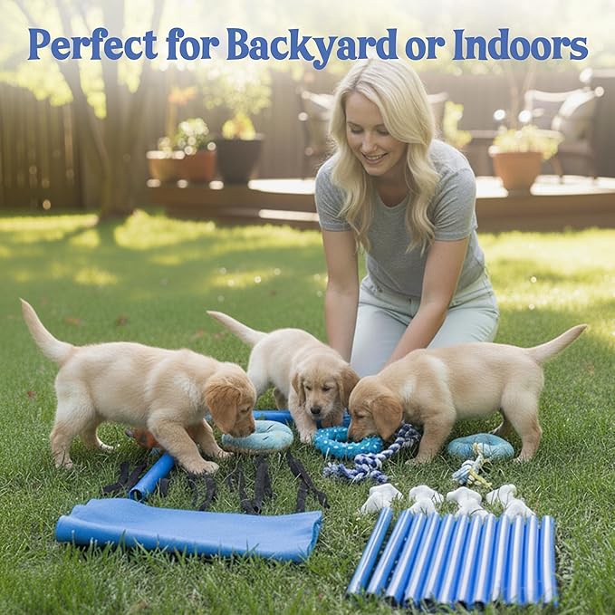 Race&Herd Puppy Play Gym, Dog Play Mat, 8 Bungee Straps Interactive Puppy Active Toys - Small Dog Jungle Gym 19.5" Frame with Playground Set Indoor Enrichment Activity Center (Blue)