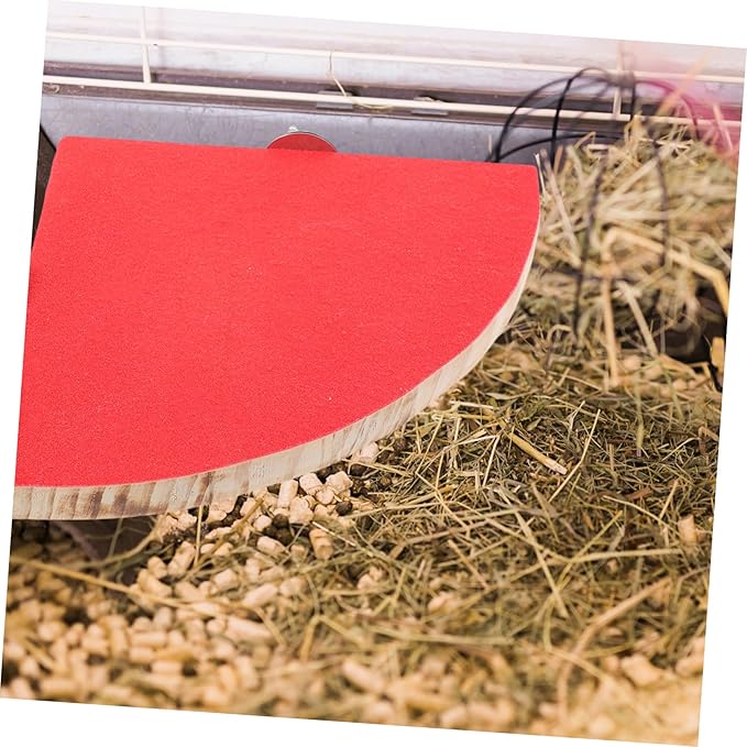 SUPVOX Fan Shape Frosted Wooden for Small Pets Durable Platform for Hamsters Parrots and Squirrels Chew Pet Cage Accessory Random Color
