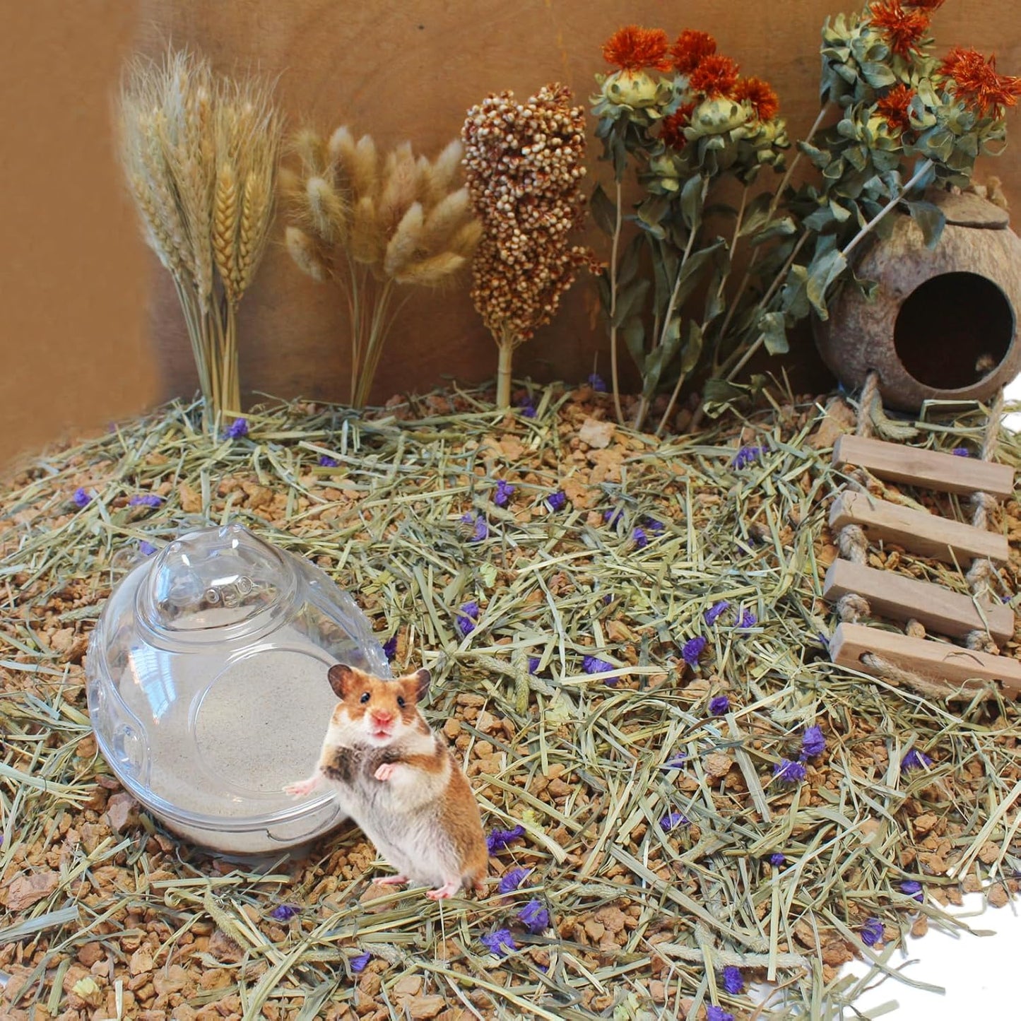 Hamster Bath Sand, 3lb Dust Free Desert Sand or Potty Litter Sand for Hamster Chinchillas Gerbil Syrian Mice Small Animals(Beige)