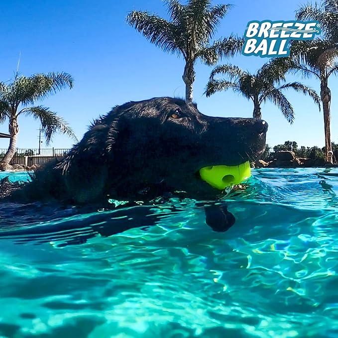 Multipet Breeze Balls for Dog - Bevel Tech Interactive Dog Toy w/Holes for Breathing - Flotable Ball for Dogs - Pet Toy for Chewing & Playing (1 Count, 3”, Random Color Surprise)