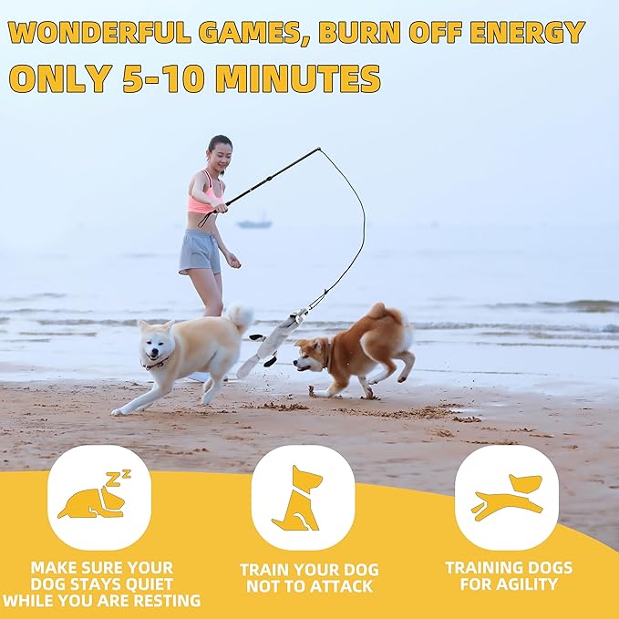 Flirt Pole Dogs, Dog Chase Toy with Squeakers Inside, Dog Fishing Pole Toy for Large Medium Small Dogs to Keep The Puppy Entertained and Physically Exhausted, Ball+Beaver