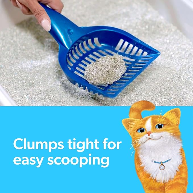 Fresh Step Simply Unscented Clumping Litter,Fresh Step Unscented Cat Litter with Activated Charcoal Technology,14 lb. Box,(Pack of 3)
